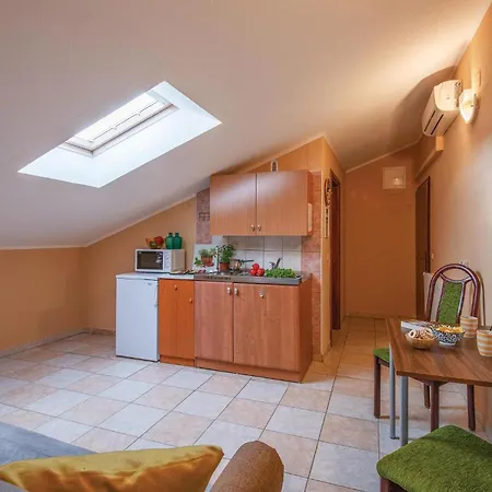 Apartment Awesome In With Kitchen
